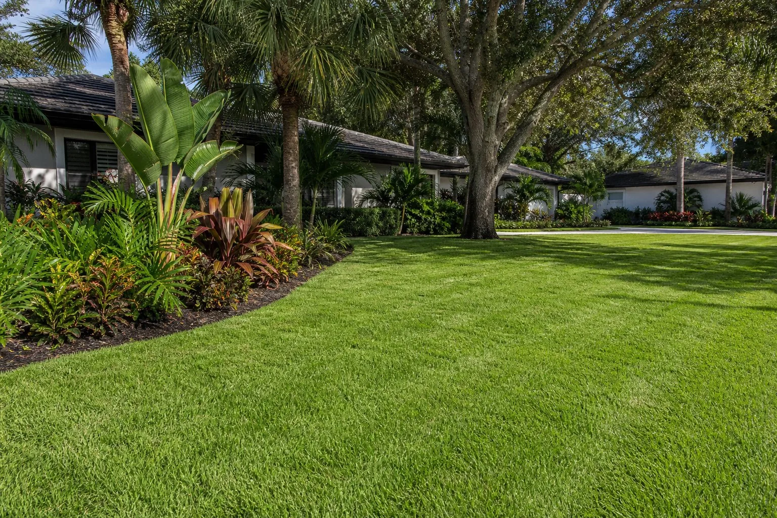 Sod installation on a Sarasota property